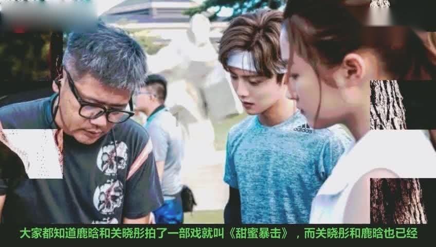 彼得比尔特379拼图
